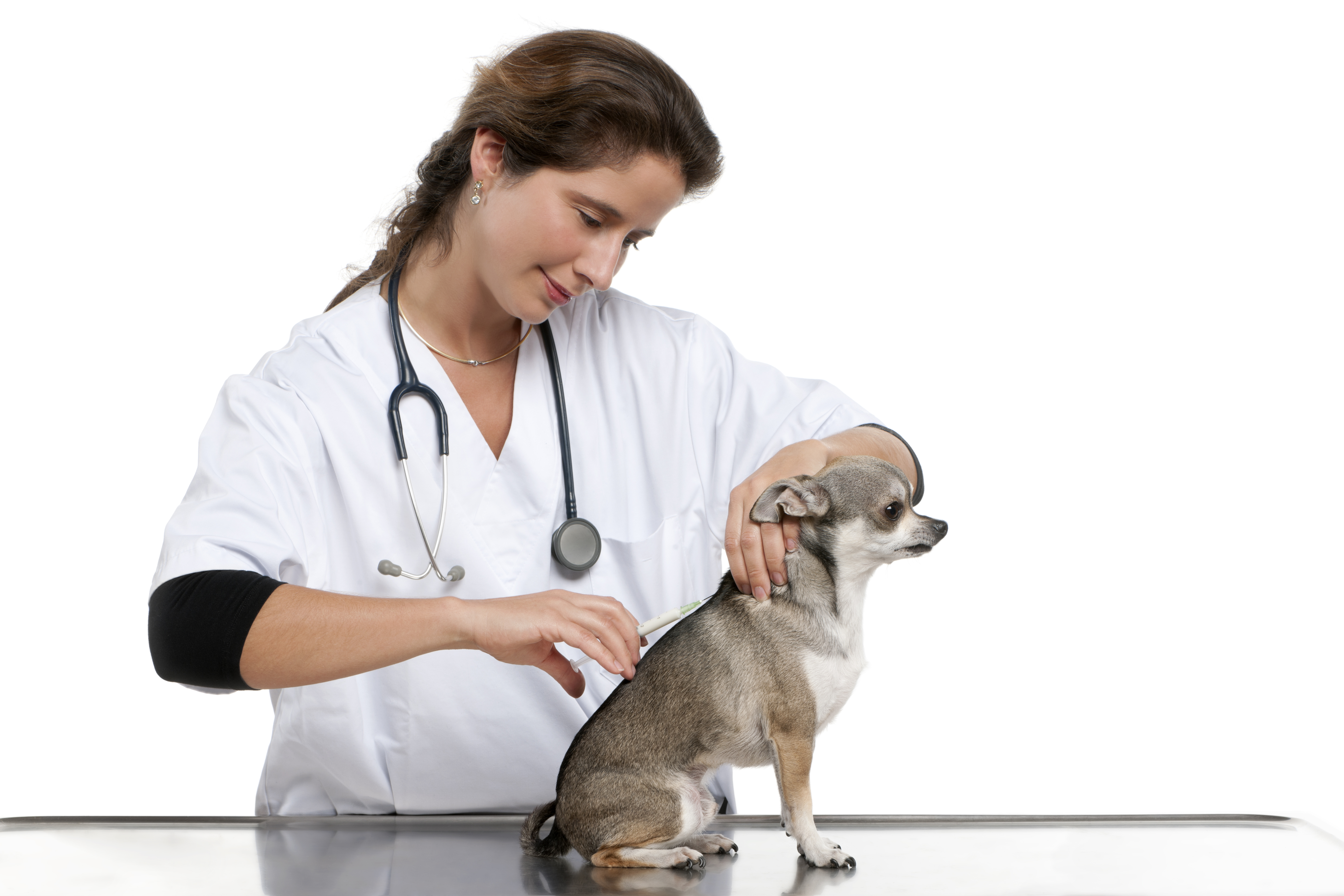 Are we over vaccinating dogs?