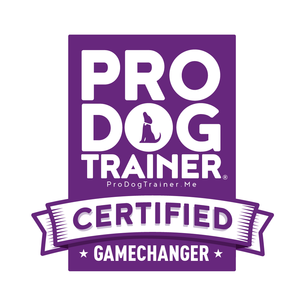 Pro Dog Trainer & Behaviour Coach
