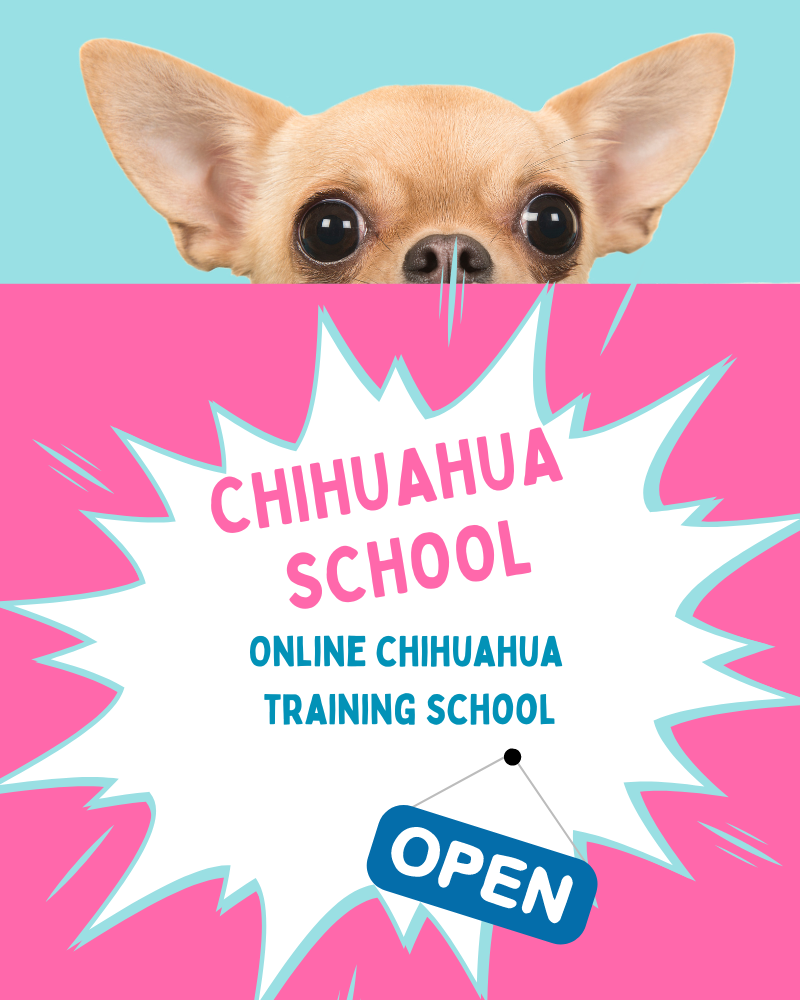 opening graphics