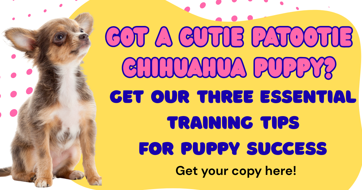 puppy tips (2)